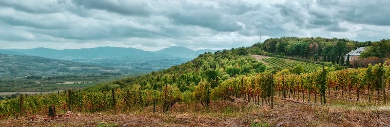 cropped-DSC_0490a-Panorama1.jpg