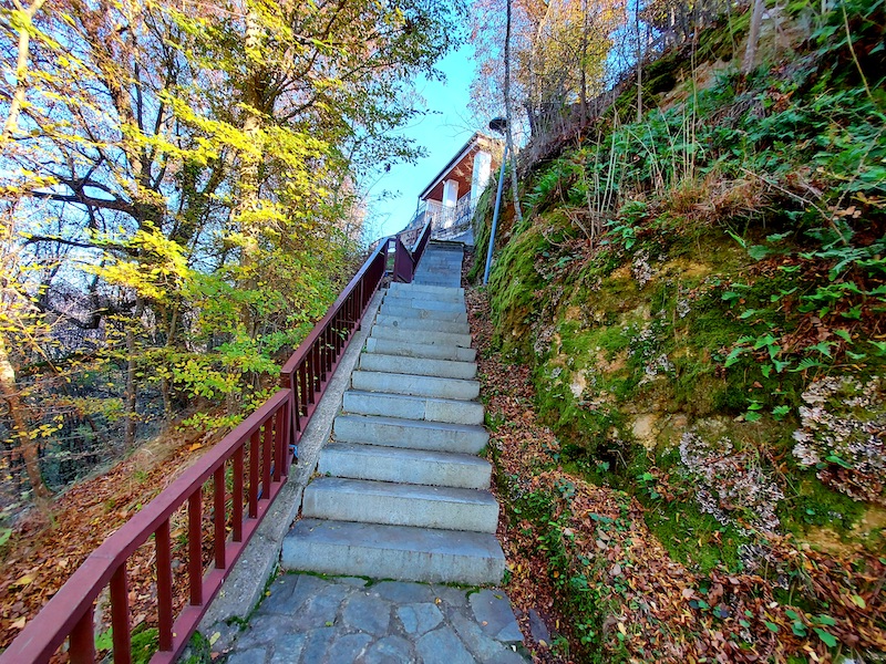 20201108_161403.jpg