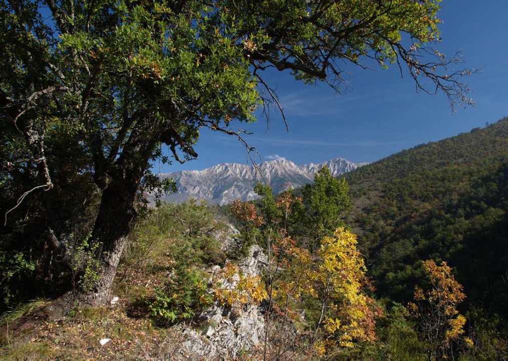 Jasenpejsaz081.jpg