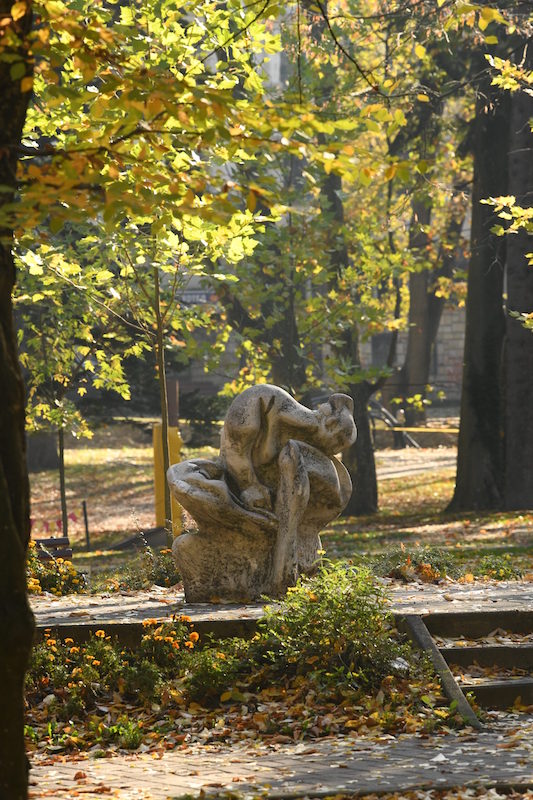 MMP_6091-1-scaled.jpg