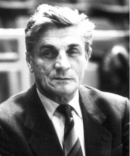 Radomir-Saper-21.jpg