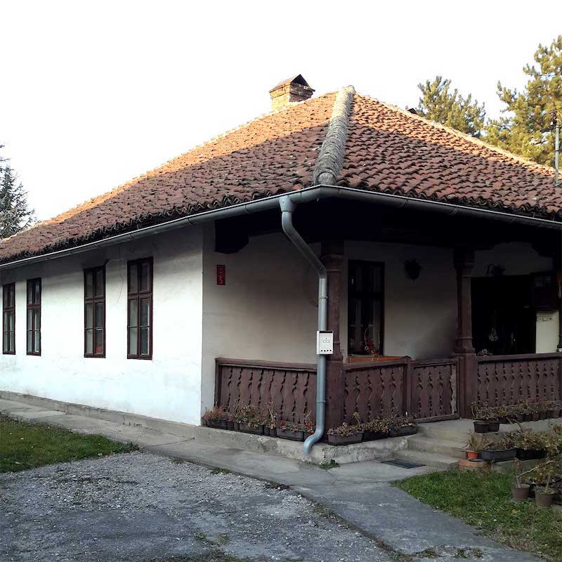 svetozara_markovica_br5_2x.jpg