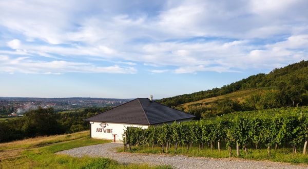 ART-WINE-Grosnica-600x331.jpg