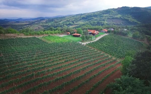 Katanic-Kamenica-600x373.jpg