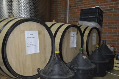 Colic-400x266.jpg