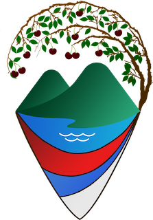 logo (1).png