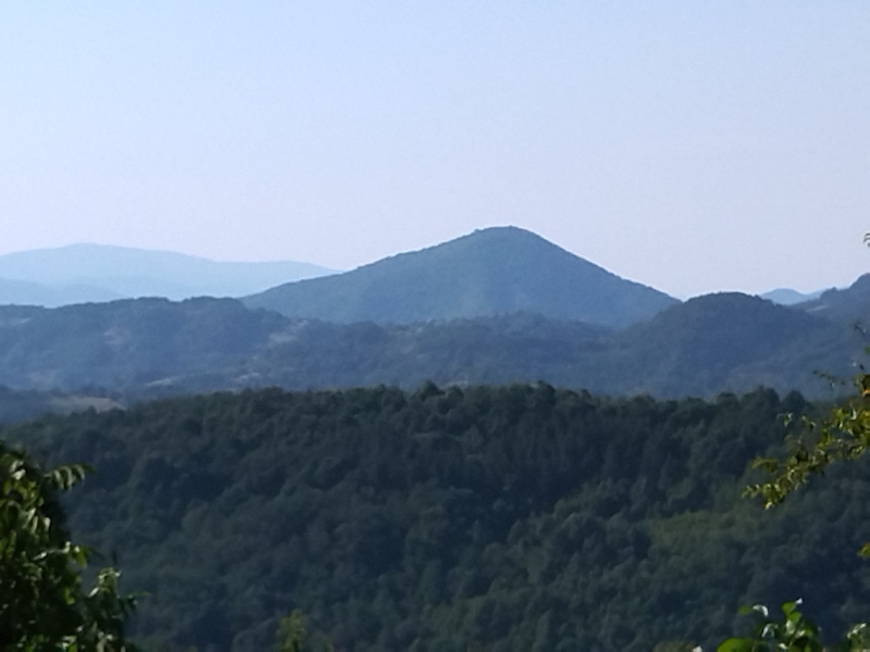 IMG_20210816_161331.jpg