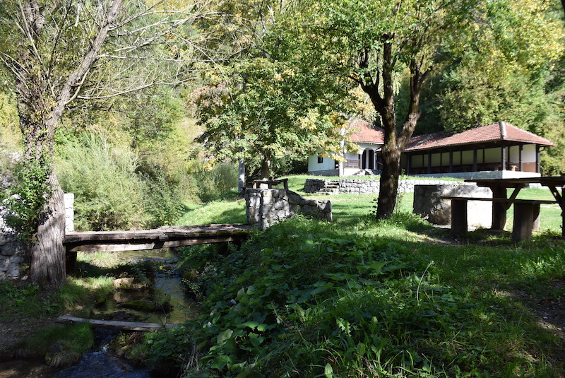 DSC_0166.JPG