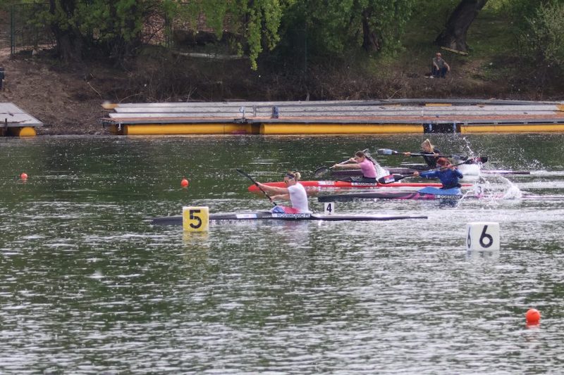 IMG_8343-980x653.jpg