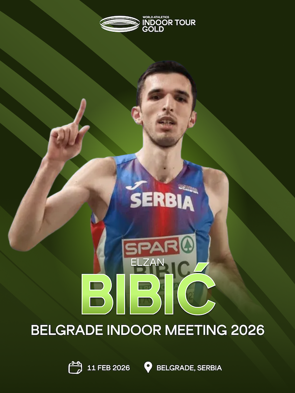 bibic (1).png