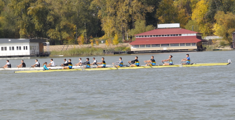 Daljinska regata u Novom Sadu 2017 Foto VSS (6).jpg