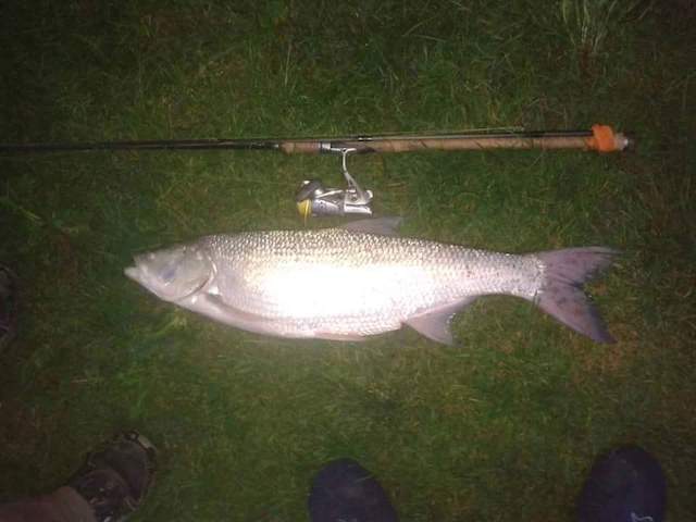 received_1789652241047450.jpeg