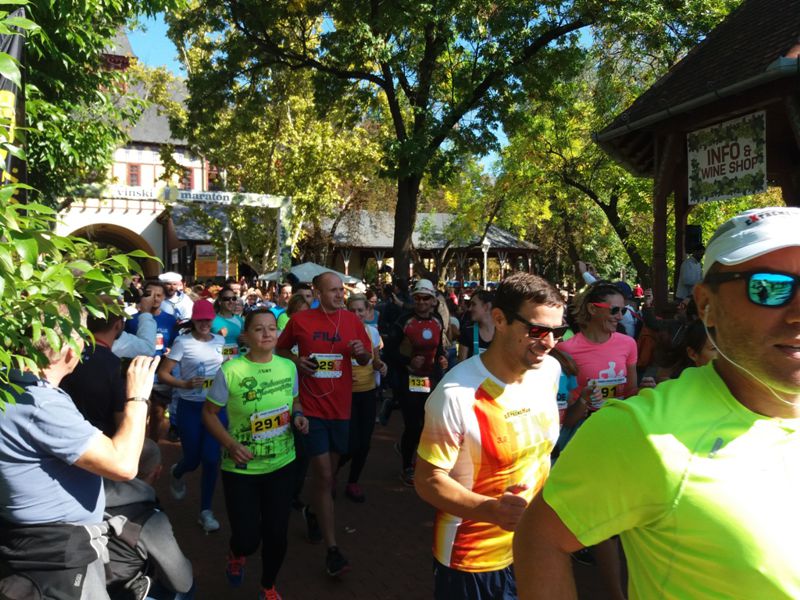 Vinski maraton 2.jpg