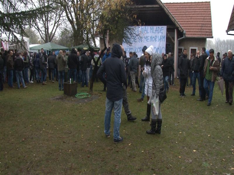 Festival mlade rakije.jpg