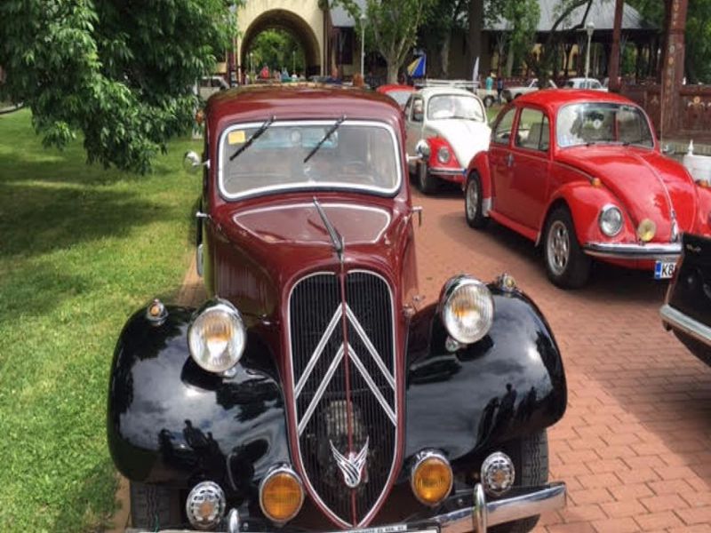 Međunarodni susret oldtimer reli vozila 1.jpg