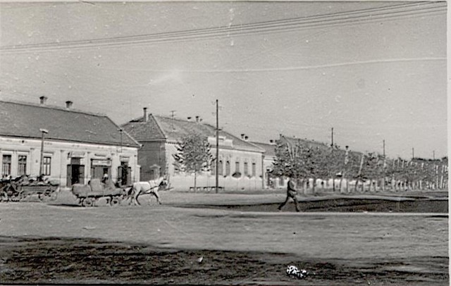 Bezgodine2.jpg