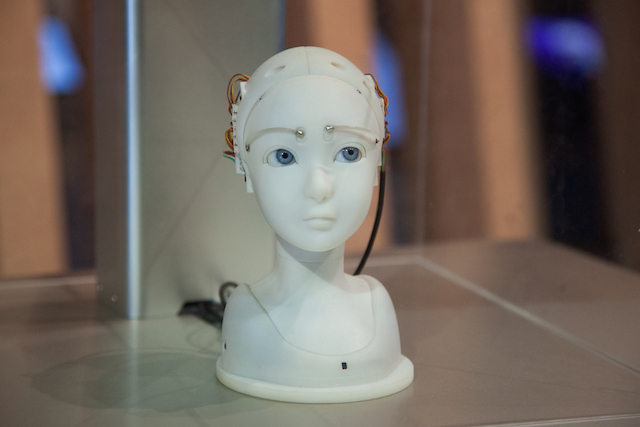 Robot SEER.jpg