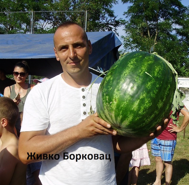 ZivkoBorkovac21800.jpg