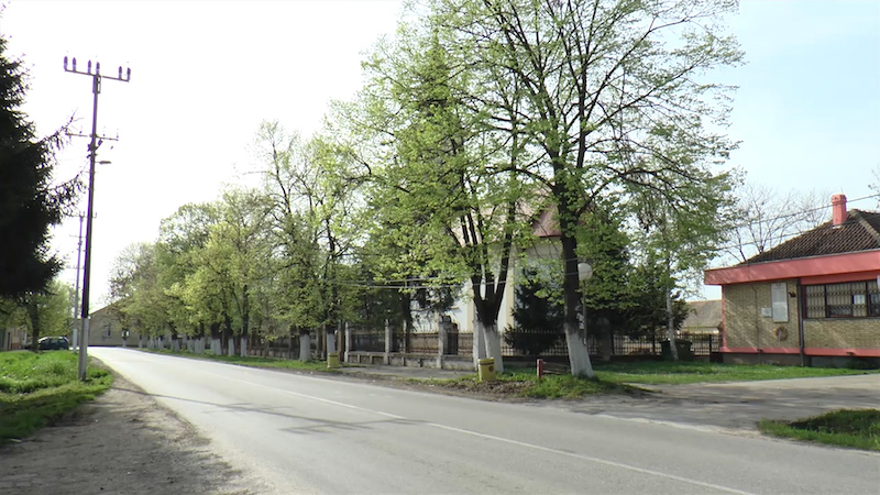 voganj 1.jpg