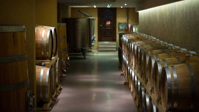 vinarija-atelje-vina-sapat-hrast-bure.jpg
