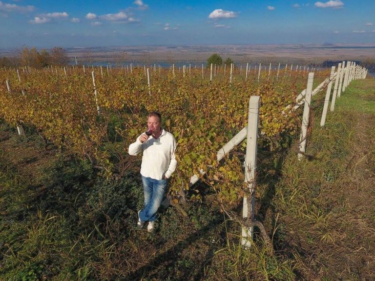 Vinarija-Stojanovic-1-768x576.jpg