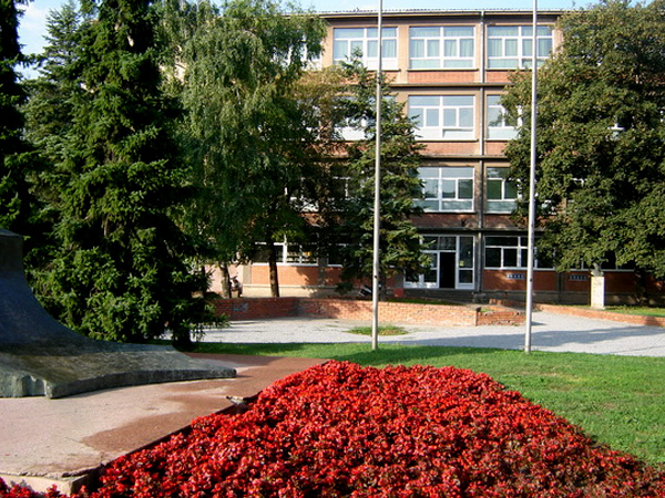 korisno-djordje-natosevic.jpg
