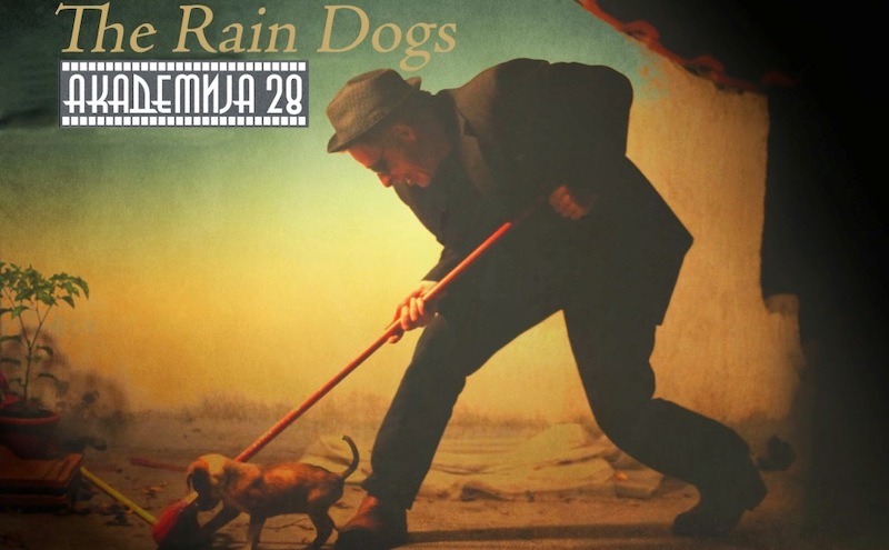 the-rain-dogs.jpeg