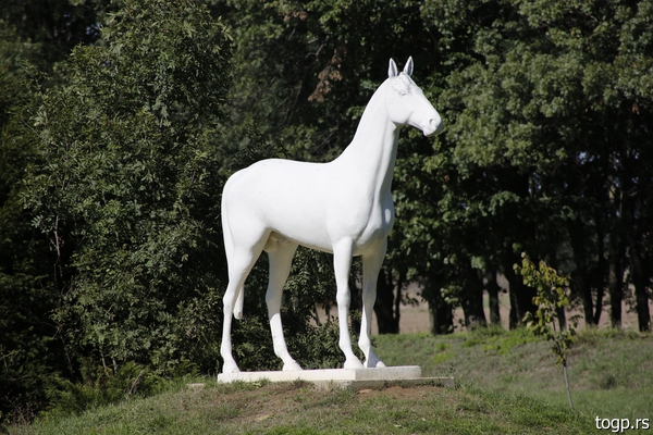 ErgelaLjubicevo-8.jpg