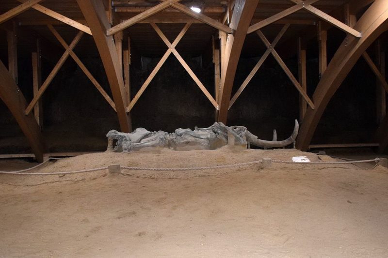 viminacium-to-Pozarevac-11.jpg