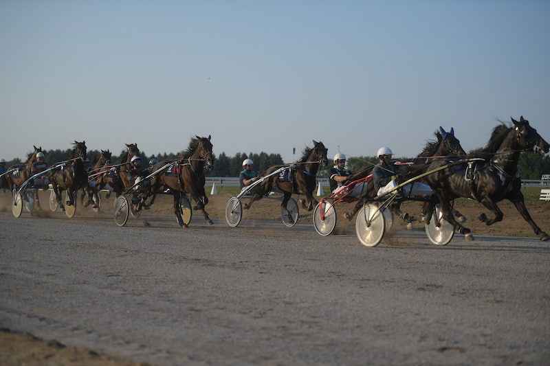 JOV_0849 - Copy-min.JPG