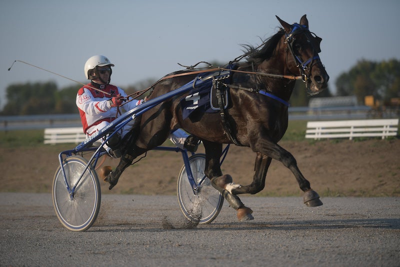 JOV_0855 - Copy-min.JPG