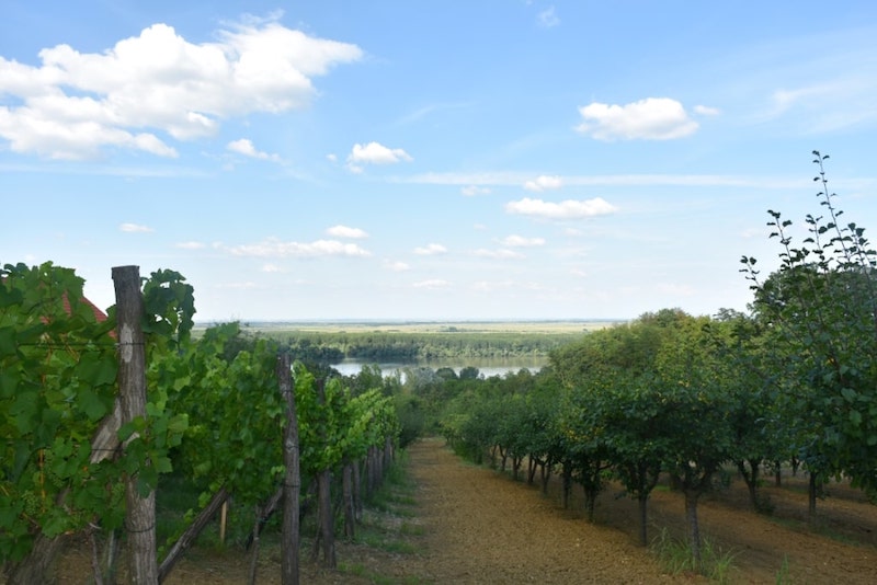 DSC_3162-min.JPG