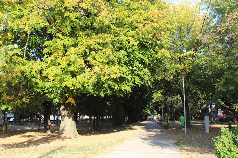 Park.JPG
