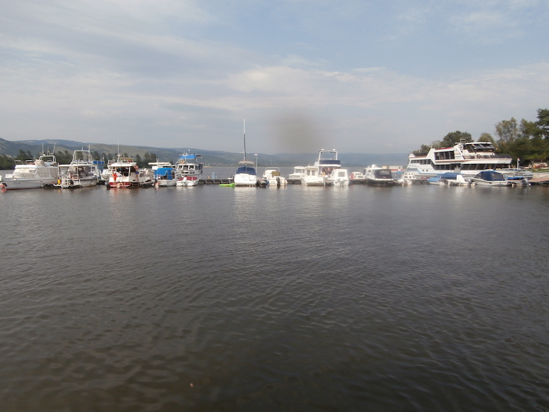 P7304549.jpg