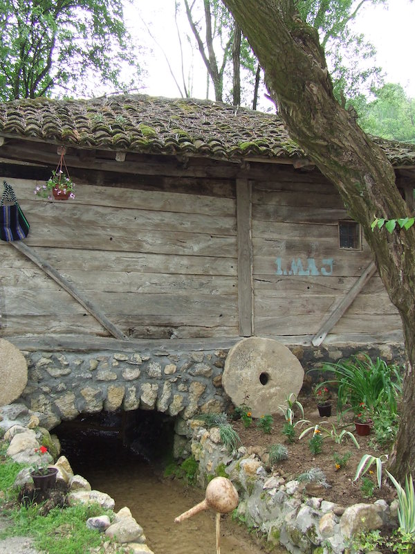 DSCF8300.JPG