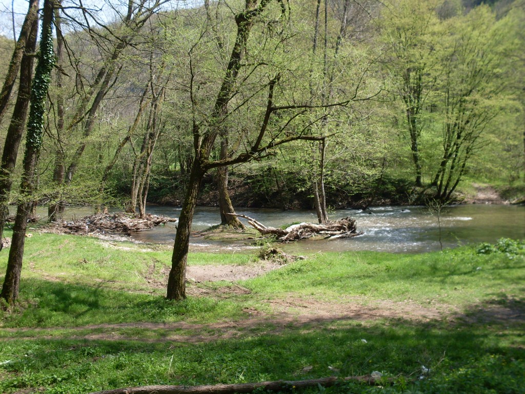 Izletitte-cvarinac-3.jpg