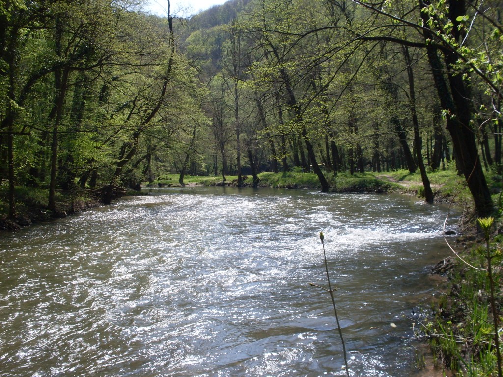 Izletitte-cvarinac-1.jpg
