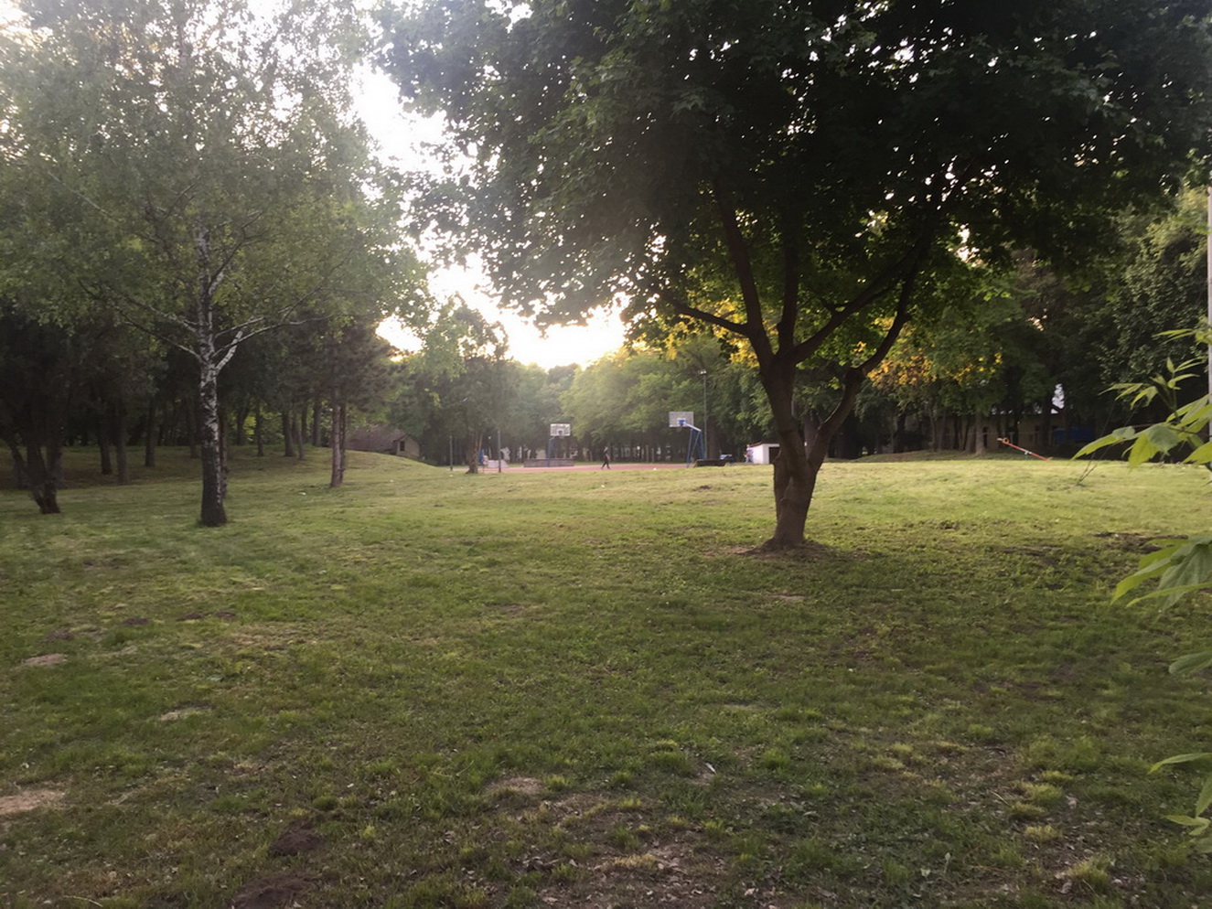 SREDJEN PARK U NK_10.JPG
