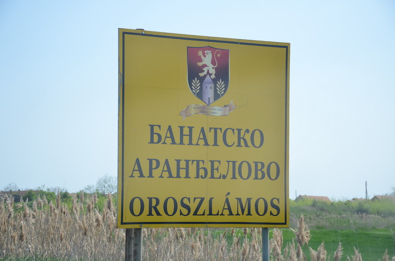 7 BANATSKO ARANDJELOVO_02.JPG