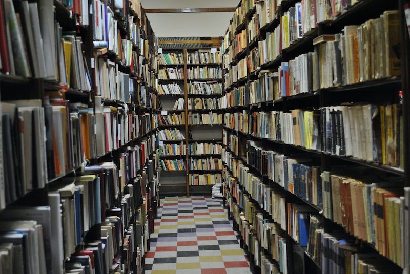 NEKADA DVORAC DANAS BIBLIOTEKA_3.JPG