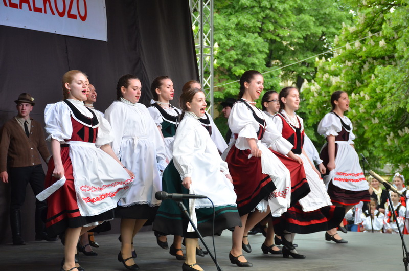 FOLKLOR FESTIVAL NOVI KKNEZEVAC_13.JPG