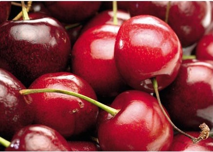 cherry2.jpg