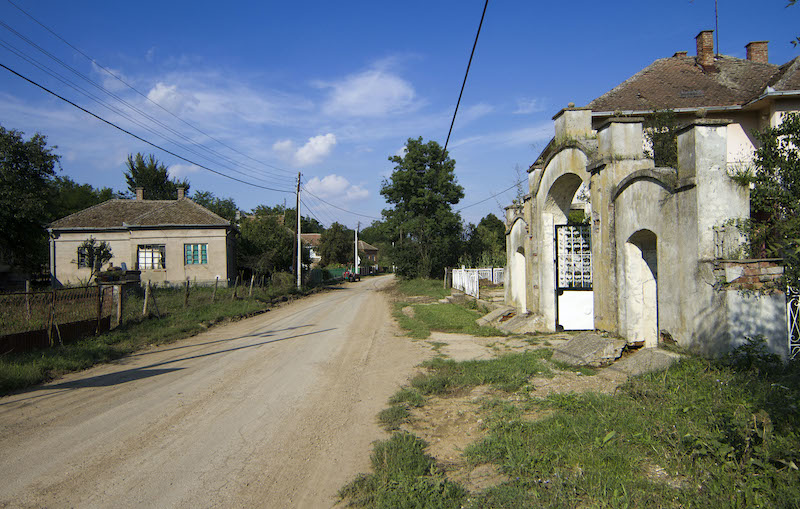 ivkovac.jpg