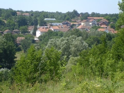 Bosnjak.jpg