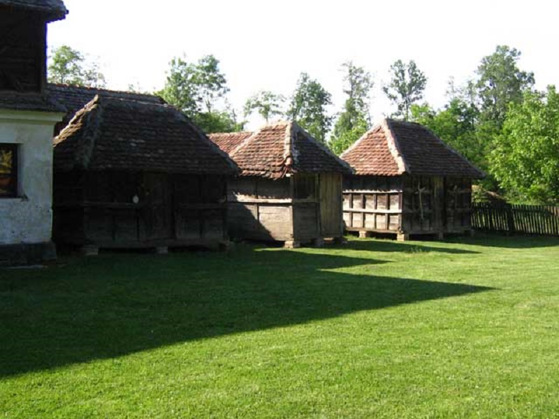 Sovljak3.jpg