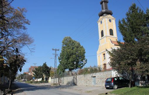 rivica.jpg