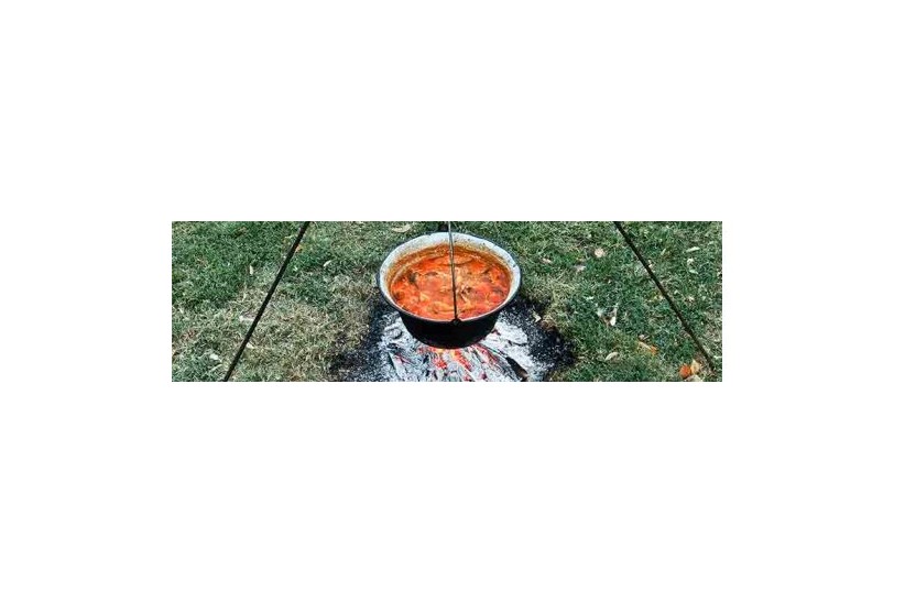 ЗЛАТНИ КОТЛИЋ ПАЛИЋА