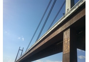 КОЛИКО ЉУДСКИХ ВРСТА ПОСТОЈИ