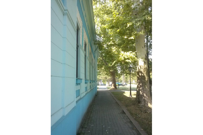 Ковачица, летњи дан