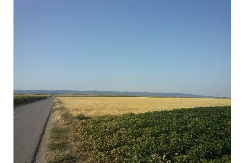 Пут Рума - Врдник